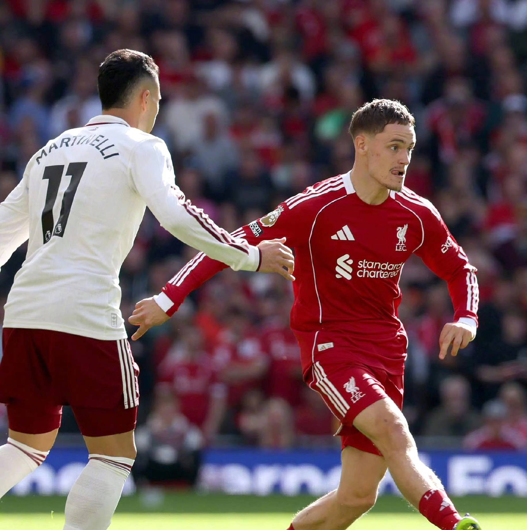 在明暗环境 在明暗环境